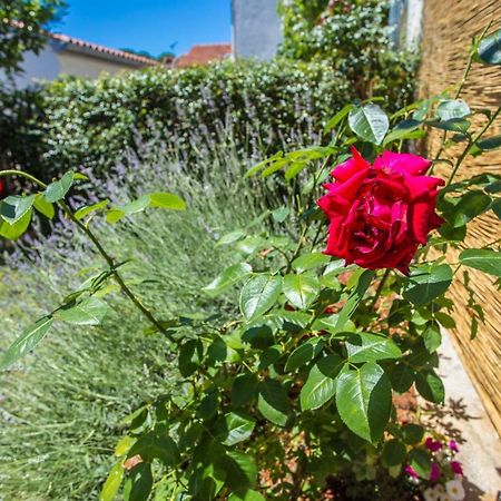 Apartment Rosse Poreč Buitenkant foto